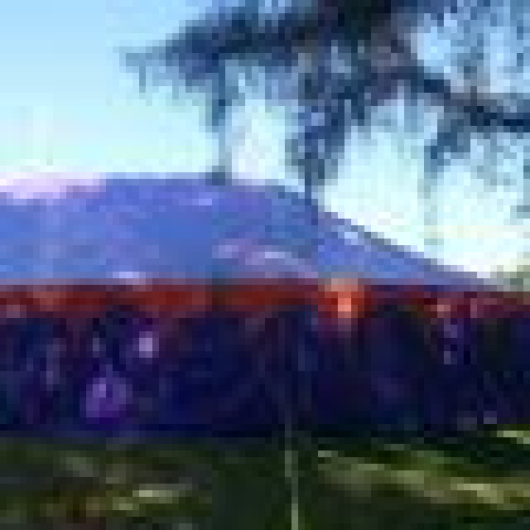 ONG Artes para la Vida - Organization - Chile - StageLync ONG Artes para la Vida - Organization - Chile - StageLync